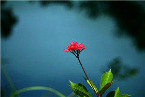 惠州紅花湖2