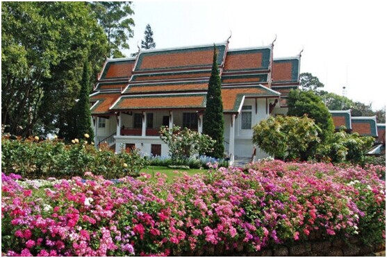 泰國旅游攻略-曼谷清邁旅游攻略及注意事項_廣東廣州天馬國際旅行社(www.hairbydesiree.com)