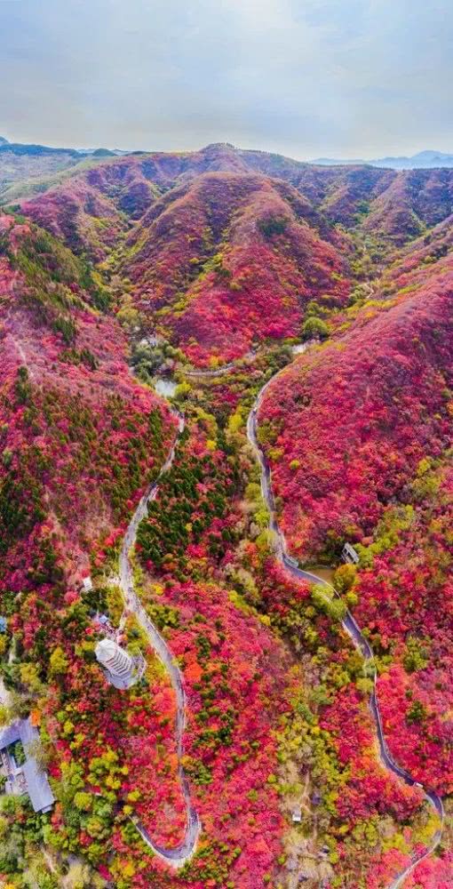 山東紅葉谷