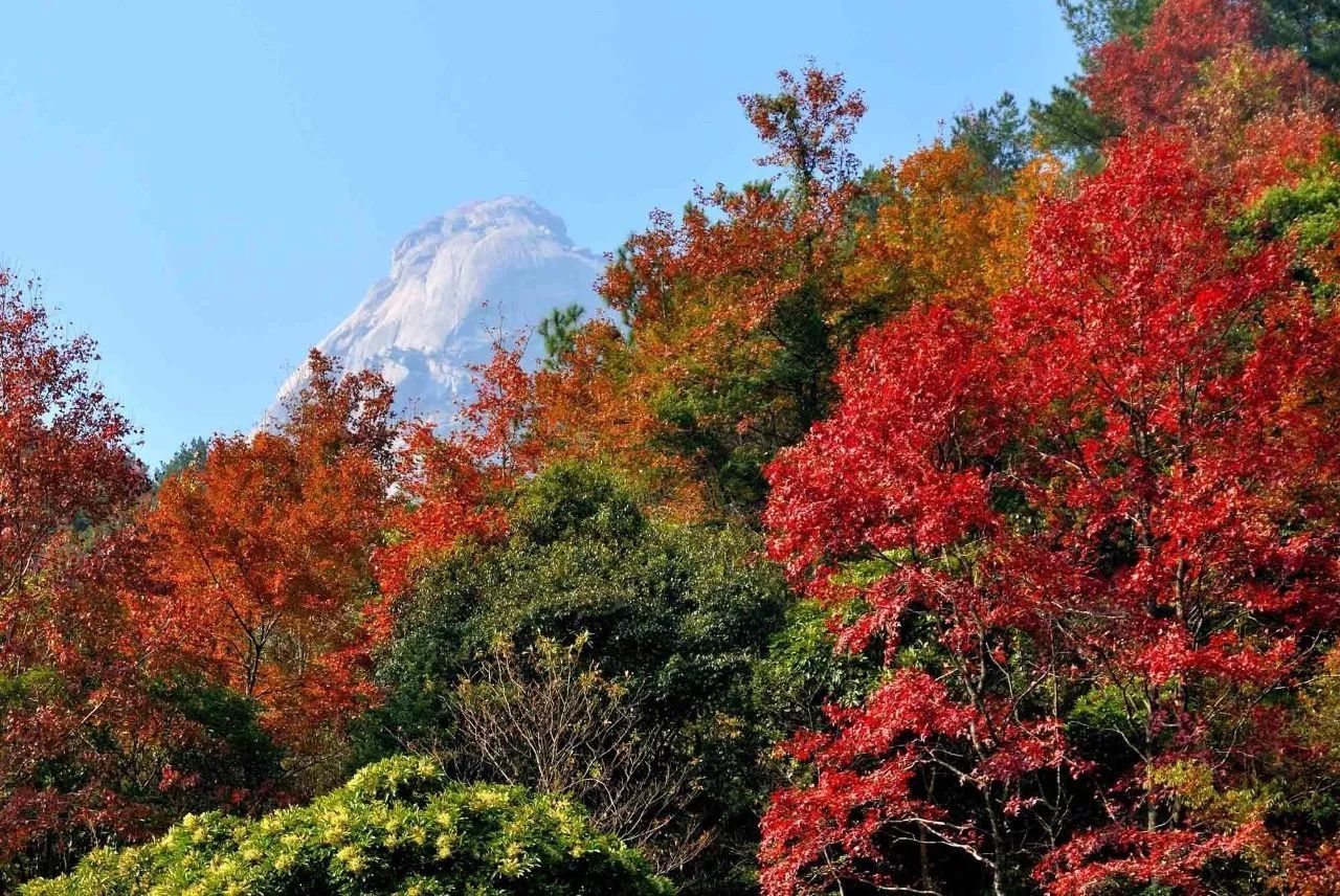 韶關云髻山.jpeg