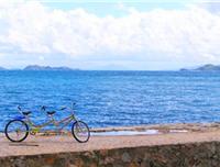 【企業定制】深圳西沖2天游