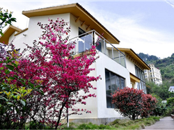 【公司旅游】韶關麗宮溫泉、云門寺休閑二天游