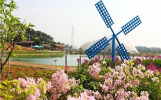 高明盈香生態園04_副本