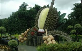水果園