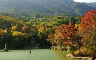 野趣溝風(fēng)景區(qū)1.jpg