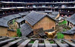 初溪土樓群1.jpg