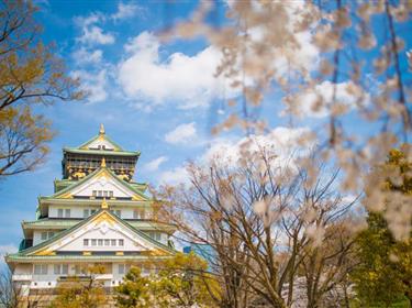 淺間神社 鬼太郎茶屋 東京兩天天自由活動 六天休閑之旅